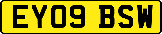 EY09BSW