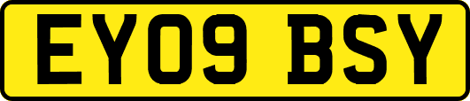 EY09BSY