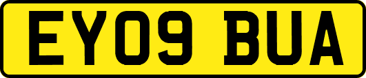 EY09BUA