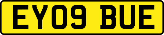 EY09BUE
