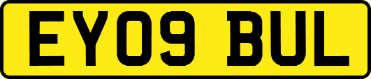 EY09BUL