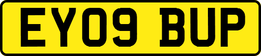 EY09BUP