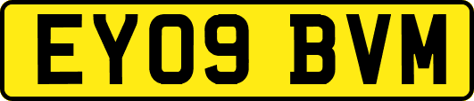 EY09BVM