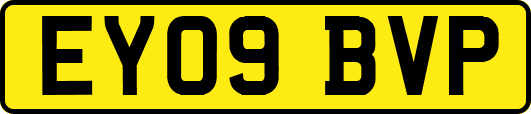 EY09BVP