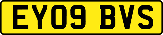 EY09BVS