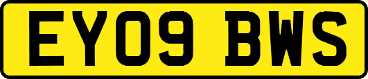 EY09BWS