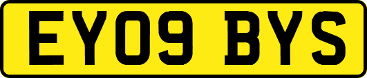 EY09BYS