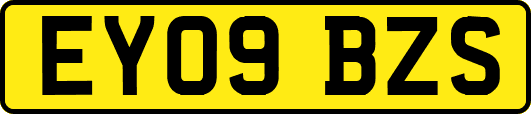 EY09BZS