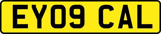 EY09CAL