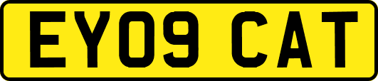 EY09CAT