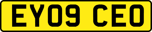 EY09CEO