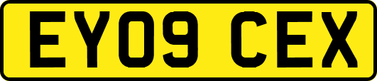 EY09CEX