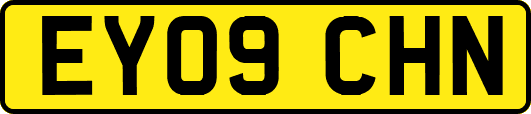 EY09CHN