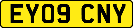 EY09CNY