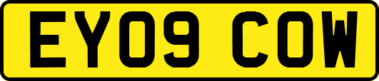 EY09COW