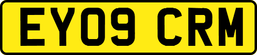 EY09CRM