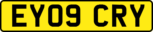 EY09CRY