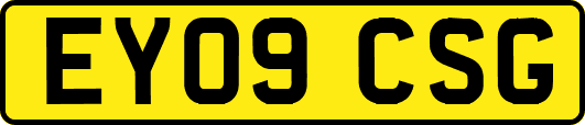 EY09CSG