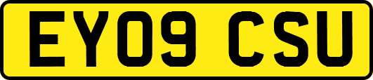 EY09CSU
