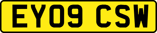 EY09CSW