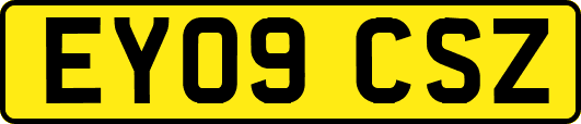 EY09CSZ