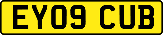 EY09CUB