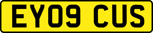 EY09CUS