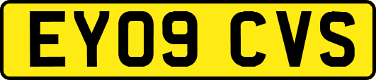EY09CVS