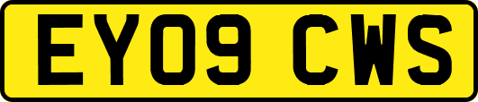 EY09CWS