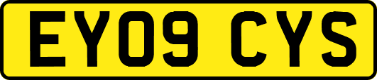 EY09CYS