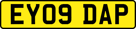 EY09DAP