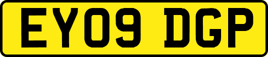 EY09DGP