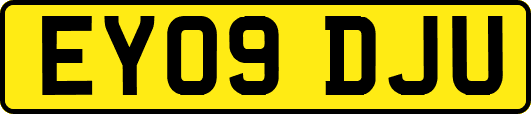 EY09DJU