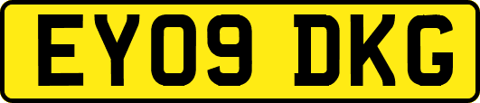EY09DKG