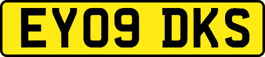 EY09DKS