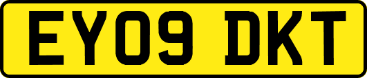 EY09DKT