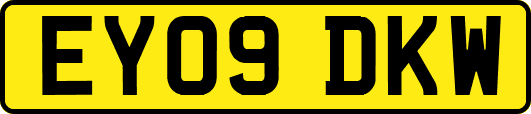 EY09DKW
