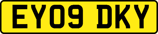 EY09DKY