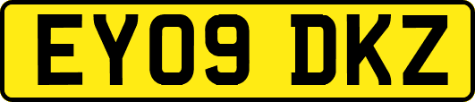 EY09DKZ