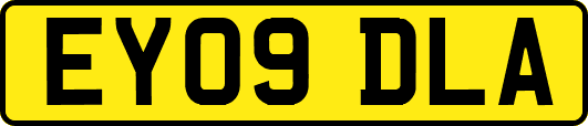 EY09DLA