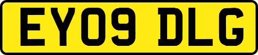 EY09DLG