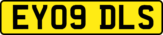 EY09DLS
