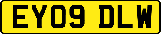 EY09DLW