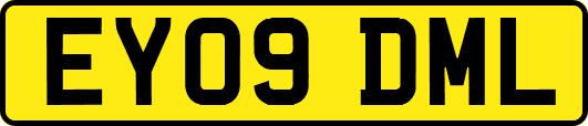 EY09DML