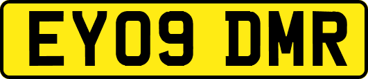 EY09DMR