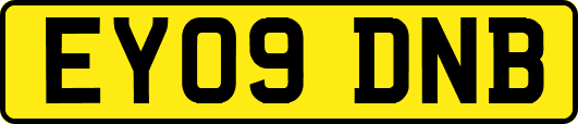 EY09DNB