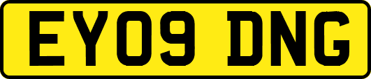 EY09DNG