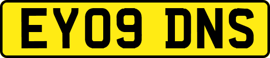 EY09DNS