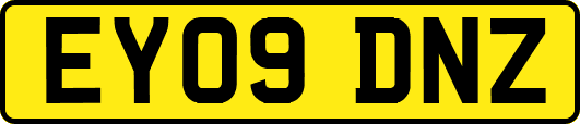 EY09DNZ