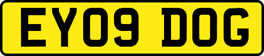 EY09DOG